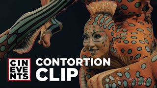 Curious about Kurios? | Contortion Clip | June 2019 | CinEvents