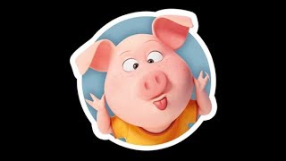 ФУТАЖ СВИНКИ НА ЗЕЛЕНОМ ФОНЕ 2019