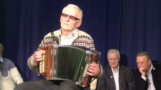 гармонь венского строя