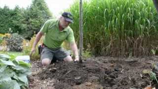 Planter un arbre en sol argileux