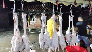 专业烧鹅制作全过程，想学习的可不要错过哦