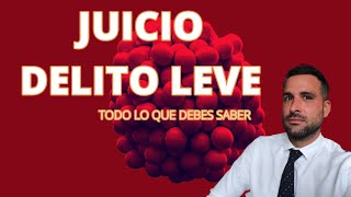 ¿NECESITO ABOGADO EN JUICIOS POR DELITO LEVE?