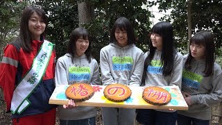 【Part 3】つばきファクトリーが行く！見所満載、春の泉佐野丘陵緑地！