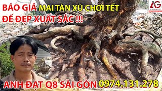 BÁO GIÁ MAI TÀN XÙ CHƠI TẾT ĐẾ ĐẸP XUẤT SẮC ?ANH ĐẠT Q8 SÀI GÒN 0974131278? | AN GIANG NGÀY NAY
