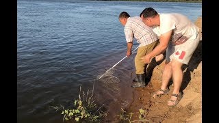Рыбалка на закидушки. Ахтуба, сазан - сентябрь 2019.