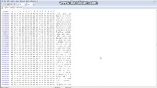Captain Tsubasa 2 Hack Nasıl Yapılır? 3.Bölüm-Küçük Ama Önemli Bilgiler