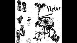 NEVER - S/T [2018 Noise Hardcore Punk]