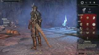 The Elder Scrolls Online - Medium Armor Preview (All Races [No Imperials])