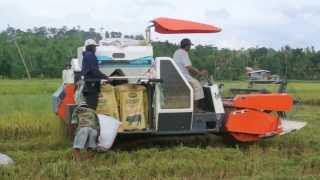 01 KUBOTA DC60 COMBINE HARVESTER BAROTAC VIEJO ILOILO 2013