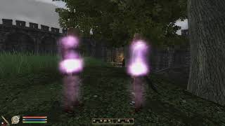 TES4: Oblivion. Разлучены с рождения. Диалог братьев.