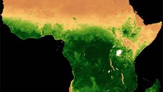 NDVI (normalized difference vegetation index) of Africa showing seasonal vegetation pattern