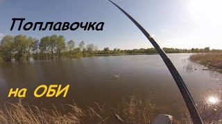 Рыбалка на протоке Оби на поплавочную удочку. 15 мая 2015.