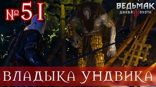 Прохождение Ведьмак 3 [ ВЛАДЫКА УНДВИКА ] №51