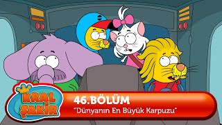KRAL ŞAKİR: Dünyanın En Büyük Karpuzu - 46. Bölüm (Çizgi Film)