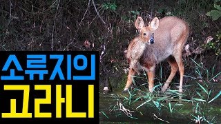 경기도 산 속 소류지  | 지렁이로 붕어낚시
