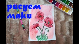 Мастер-класс: рисуем маки/master class: draw poppies/マスタークラス：ポピーを描く