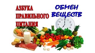Обмен веществ в организме. Как ускорить, чтобы похудеть.