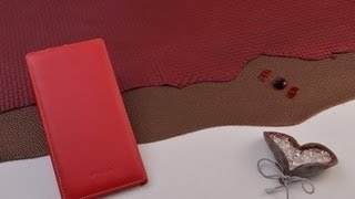 Чехлы для Sony Xperia C от www.gosso.ru