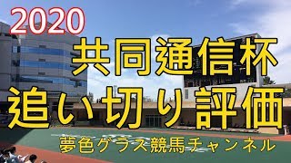 【追い切り評価】2020共同通信杯！マイラプソディは乗り込み量豊富？