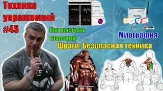 Как накачать трапециевидную мышцу. Шраги. Безопасная техника. Миография. Техника #45