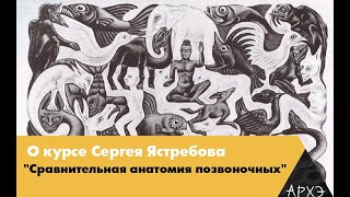 Курс Сергея Ястребова "Сравнительная анатомия позвоночных"