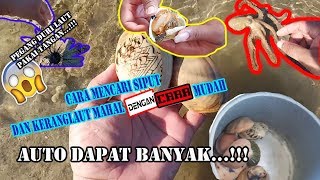 CARA MENCARI SIPUT DAN KERANG LAUT MAHAL DENGAN MUDAH, AUTO DAPAT BANYAK.