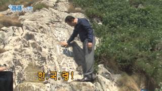 [톡톡푸른지붕] 독도, 대한민국 대통령과의 첫만남!