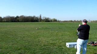 Align T-Rex 600 ESP w/ Robbe Helicommand 3D - test flight