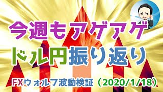 今週のドル円振り返りとユーロドルのウォルフ波動：FXウォルフ波動検証（2020/1/18)