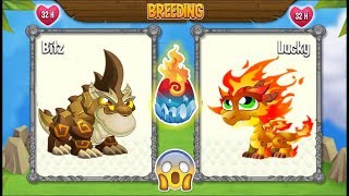 NEW BREEDING: Double Terra Dragon & Double Flame Dragon | DRAGON CITY ?