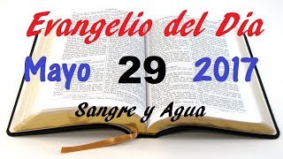 Evangelio del Dia- Lunes 29 Mayo 2017- Me Abandonaran- Sangre y Agua