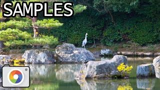 Canon EOS-1Ds Mark III with EF 70-200mm f/2.8L IS USM and 1.4x Extender lens samples