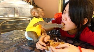 Baby Monkey Dodo Share Fried Banana To Mother