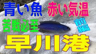釣り動画ロマンを求めて 174釣目（前編：早川港）