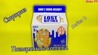 LOST KITTIES Потерянные котята series 2 Распаковка