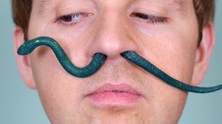 SNAKE IN NOSE!