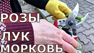 Апрель. Работы в саду и в огороде.