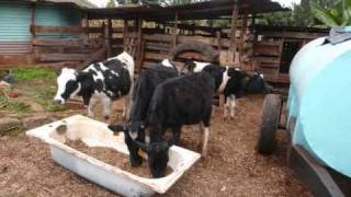 Juhudi Kilimo - Changing The Way Farmers Do Business