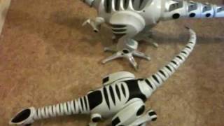 RoboRaptor & RoboReptile Reviewed