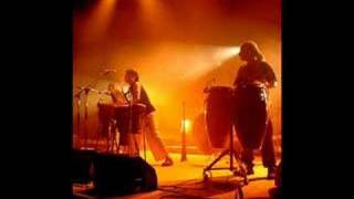 hilight tribe  Electric Sage