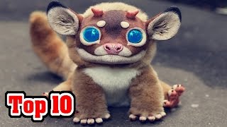 Top 10 MOST AMAZING Animal Hybrids