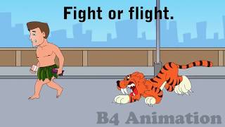 The Stress Response- Fight or Flight