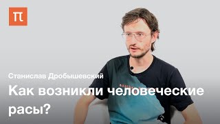 Происхождение человеческих рас — Станислав Дробышевский / ПостНаука