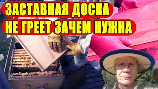 Заставные  Утепление гнезда Зимовка пчел