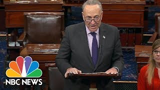 Senator Chuck Schumer Addresses Canceled White House Meeting On Senate Floor | NBC News