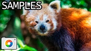 Canon EOS 60D with  TAMRON SP 150-600mm F/5-6.3 Di VC USD A011 lens samples