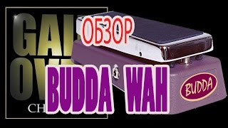 BUDDA WAH (Pedal Review) - GAIN OVER "Обзор BUDDA WAH"