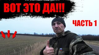 НАШЕЛ НЕБИТОЕ МЕСТО!  Поиск монет металлоискателем.