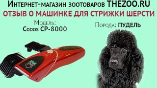 Отзыв: Надежда Султанова, машинка для стрижки шерсти Codos CP-8000, порода - пудель