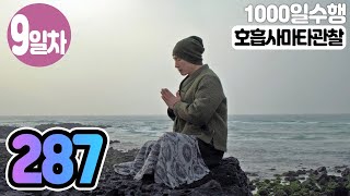 ☯ 호흡사마타관찰명상✚수면명상 9일차▶귓전명상수련(287/323일)